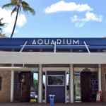Waikiki Aquarium Now Open