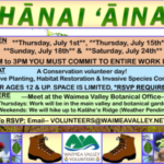 Volunteer Opportunities in Waimea Valley